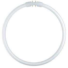 OSRAM LUMILUX T5 FC 22W/840 2GX13|Ledvance-OSR528465