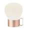 NURU Lampe de table Dim Rosegold LED Intégrée 2,5W 3000lm 2700K