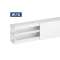 Goulotte de distribution cloisonnée TA-S 60x40 2 compartiments blanche