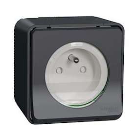 Mureva Styl - Prise de courant 2P+T à vis - saillie - IP55 - IK08 - gris|Schneider Electric-SCHMUR36030
