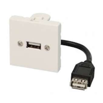 Plastron câblé 2 modules - USB-A 2.0 + raccord F - 480 mbps - 45x45 mm - 0m10|Erard-EAD2804