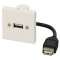 Plastron câblé 2 modules - USB-A 2.0 + raccord F - 480 mbps - 45x45 mm - 0m10