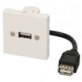 Plastron câblé 2 modules - USB-A 2.0 + raccord F - 480 mbps - 45x45 mm - 0m10|Erard-EAD2804
