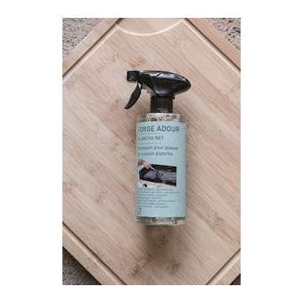 Plancha net eco nettoyant 500ml|Forge Adour Distribution-FGAPLANCHANET500