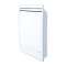 Radiateur gaz Dulcis B1000 - 1kW mural modulant basse conso fonte ventouse