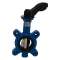 VANNE PAPILLON OREILLES TARAUDEES PAPILLON FONTE MANCHETTE EPDM DN150