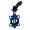 VANNE PAPILLON MANCHETTE EPDM PAPILLON FONTE GENIE CLIMATIQUE DN40