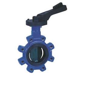 VANNE PAPILLON A OREILLES TARAUDEES CADENASSABLE - MANCHETTE EPDM DN100|Adg-AF9467T-100