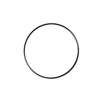 JOINT FILTRE 10/20, Joint torique pour filtre clarificateur|Bwt-BWTP0069213