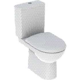 Pack WC au sol Renova SH,Rimfree, cuvette carénée, abat fermeture ral et déclips|Geberit-GBR501.856.00.1