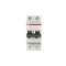 S200 Disjoncteur modulaire- 2P - 4A courbe C - 6000A/10kA (2 modules)-peignable