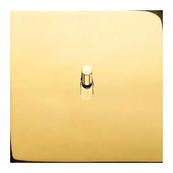Art d'Arnould univers Epure va-et-vient ou interrupteur 10A - or miroir|Arnould-ARD67701
