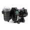 POMPE DE PISCINE STA-RITE 5P2R 75M 13.5 M4|Jetly-JTY114070