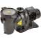 POMPE DE PISCINE EUROSWIM 100 MONO|Jetly-JTY111100