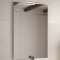 Miroir non reposant MILO L400 x H500