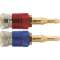 N-RACCOVAX FEMELLE 6,3/10 OX/A