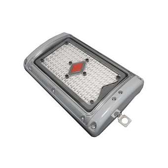 SafeSite Bulkhead 360DEG 5000K 230-240VAC, 3300Lm 25W, FB, secourue[ATEX Zone1]|Dialight-DIHBHA4BCG3NFNVGG