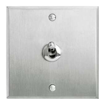 Art d'Arnould univers Mémoire va-et-vient ou inter à levier 10A - acier brossé|Arnould-ARD67101