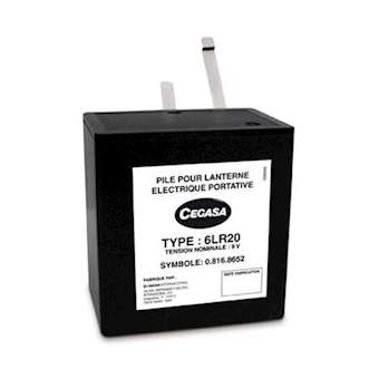 Pile(s) Pile alcaline 6LR20 Cegasa 9V 15Ah|Enix energies-NXGPRA1701