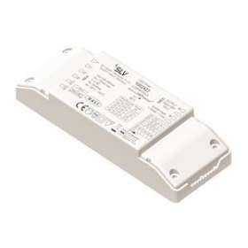 Alimentation LED DALI, intérieur, blanc, 20W, 250-700mA, variable 1-10V / Dali|SLV-DC51002423