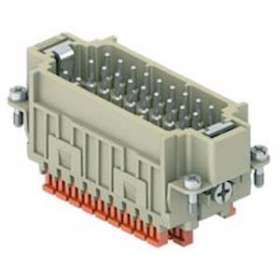 Insert mâle raccordement rapide 27P+T 10A - 400V- gabarit 77.27 - série CDSH|Ilme-IL1CDSHM27