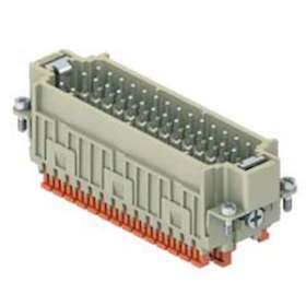 Insert mâle raccordement rapide 42P+T 10A - 400V- gabarit 104.27 - série CDSH|Ilme-IL1CDSHM42