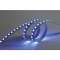 Ruban led 120LED/m SMD2835 24V IP67 bleu 5m