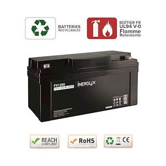Batterie rechargeable VRLA 12V / 65 Ah - Bac FR UL94 V-0 - 350 x 167 x 178 mm|-IZYFX1265