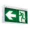 BRIO+/Bloc évac. étanche adress. SATI - 100% LED - NF AEAS - V+|Kaufel-KAU227703