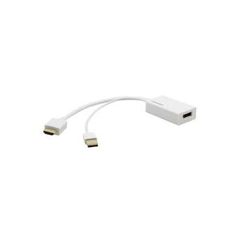 Câble HDMI mâle vers DisplayPort femelle|Kramer Electronics France-KRA99-9698000