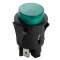 RL51-21/N-GR/BK-P1-0-2 : bouton-poussoir ON-OFF bipolaire pour découpe D25mm