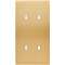 Façade CONFIDENCE LAITON BROSSE DOUBLE VERTICALE 4 BASCULEURS