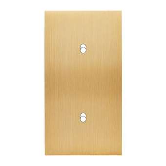 Façade CONFIDENCE LAITON BROSSE DOUBLE VERTICALE B2|Modelec-MD8152-410M