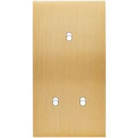 Façade CONFIDENCE LAITON BROSSE DOUBLE VERTICALE 3 BASCULEURS ELOIGNES|Modelec-MD8155-410M