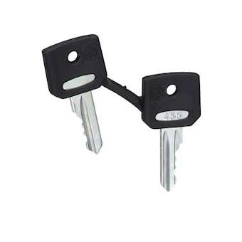 Harmony clé pour serrure - 455 - jeu de 2|Schneider Electric-SCHZBG455