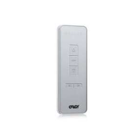 Télécommande radio standard 6 canaux seule|Oray-OAY1MOT03084