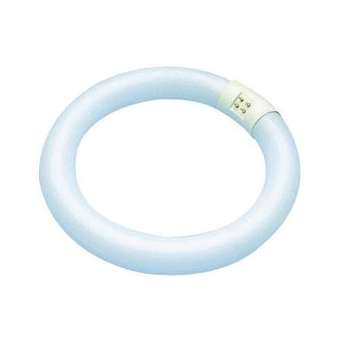 G10Q 30x307 32W 4000K IRC 80|Orbitec-ORB007560