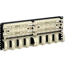 Two 100 Pair 110 Bases Pre-Mounted to 19|-PUIP110B100R4WJY