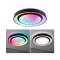 Applique/Plafonnier Rainbow Dynamic RGB TunW LED _W 450mm Blanc/Noir|Paulmann-PUA70545