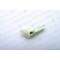 AMPOULE REED