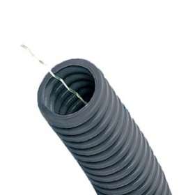 ICTA DP GRIS TAG 20/100|Courant-CNT10041540