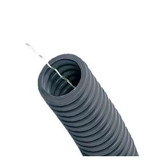 ICTA DP GRIS TAG 16/100|Courant-CNT10041140