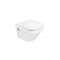 dama-n wc susp cpt 500 blc|Roca france-ROAA346788000