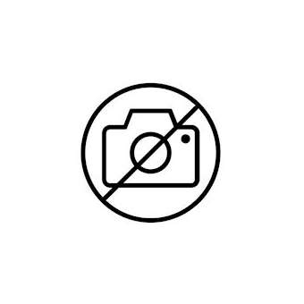 JEUX Verre APPL Brick 2|Roger Pradier-PRR165013609