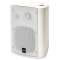 Enceinte 40W 100V ou 8 ohms couleur blanche|Rondson-ONDPBT_60_BL