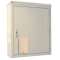 Armoire CARAIBES pour 2 tableaux + 1 coffret CIBE Tri+N en façade - 1P1C