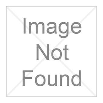 EPSON - Epson lampe pour EB-1750, EB-1760, EB-1760W, EB-1770, EB-1770W, EB-1775W /|-IVVV13H010L65