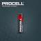 Pile alcaline Procell Intense AAA 1,5 V x1200 pour appareils énergivores