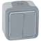 Double interrupteur ou va-et-vient étanche Plexo complet IP55 saillie - gris