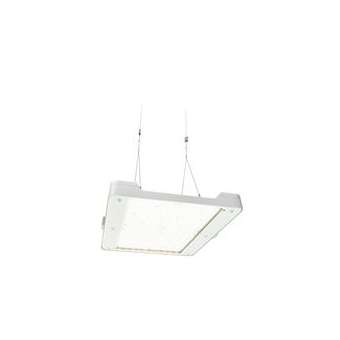 GentleSpace gen3 Grand modèle BY481P LED250S/840 PSD WB PC SI|Philips Signify-PHI407414